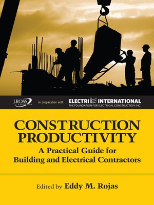 cover image of Construction Productivity